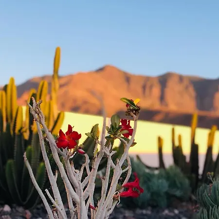 Paraisos De Agaete * Пуэрто-де-лас-Ньевес